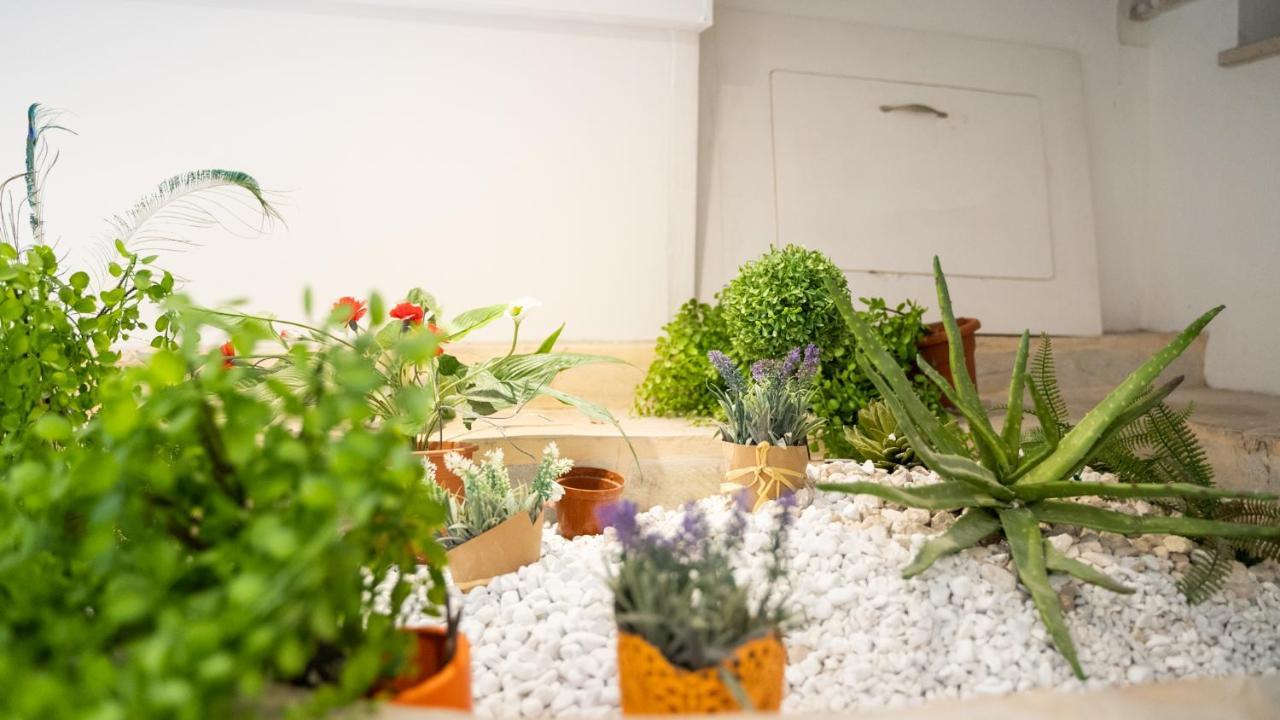 Welcomely - La Casetta Del Centro Apartment Olbia